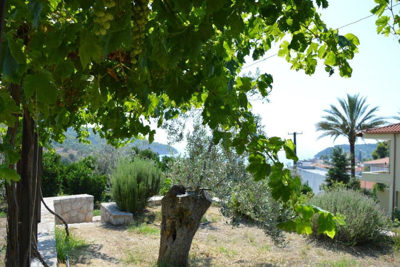 Spiti Portokali Apartment Epidaurus Luaran gambar